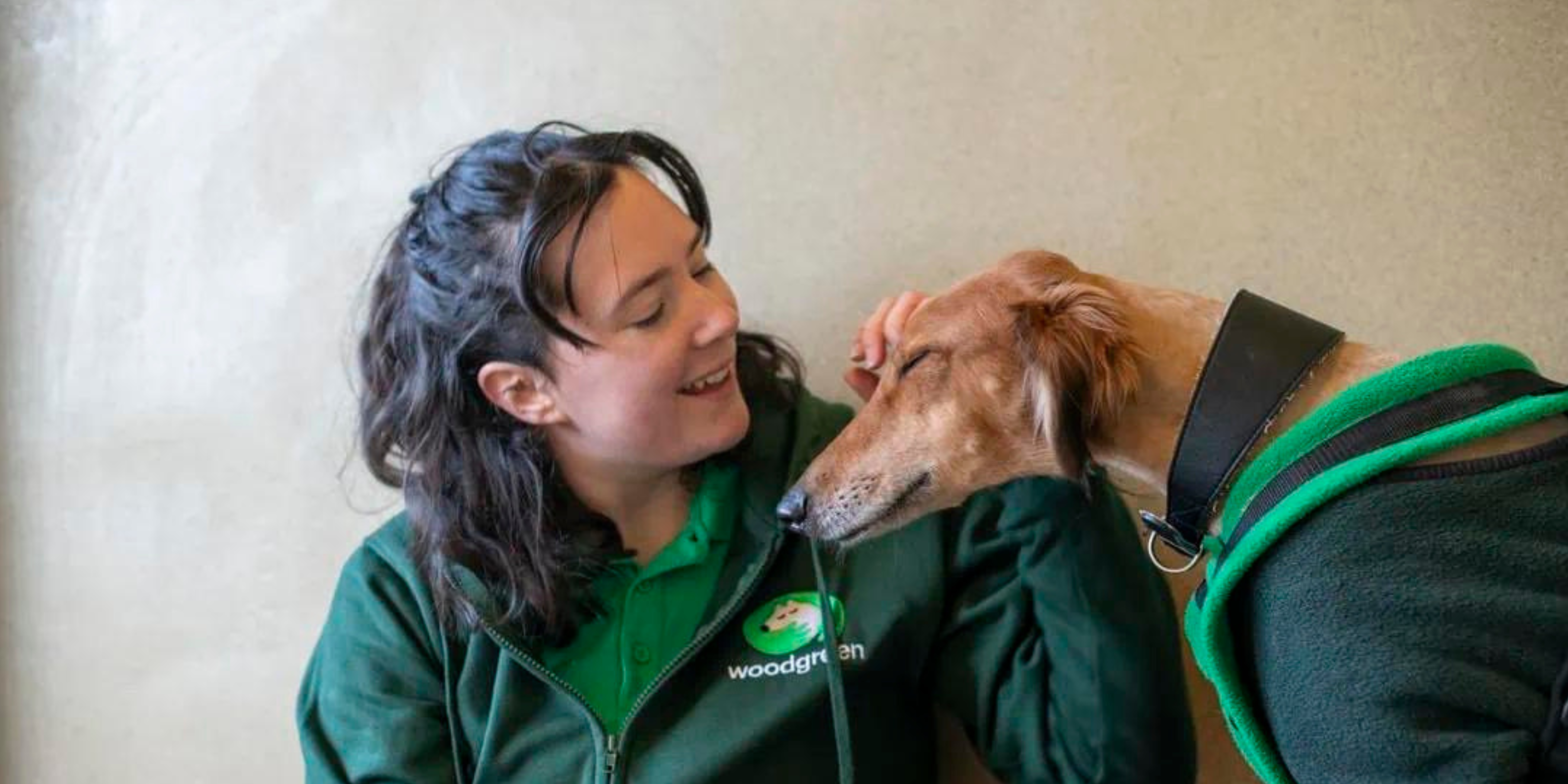 woodgreen-2-(1).png woodgreen-2-(1).png