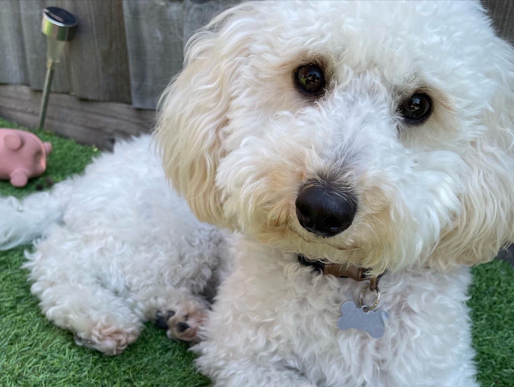 Image-(1).jpg Image-(1).jpg