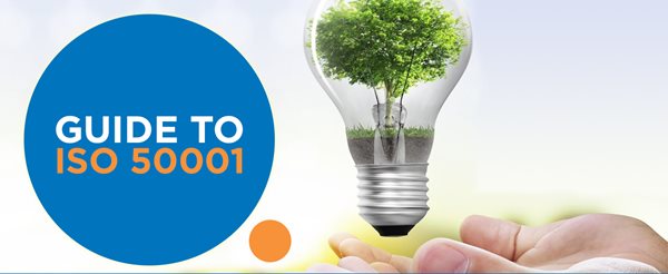 Guide to ISO 50001 summary image